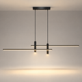 Suspension Longue