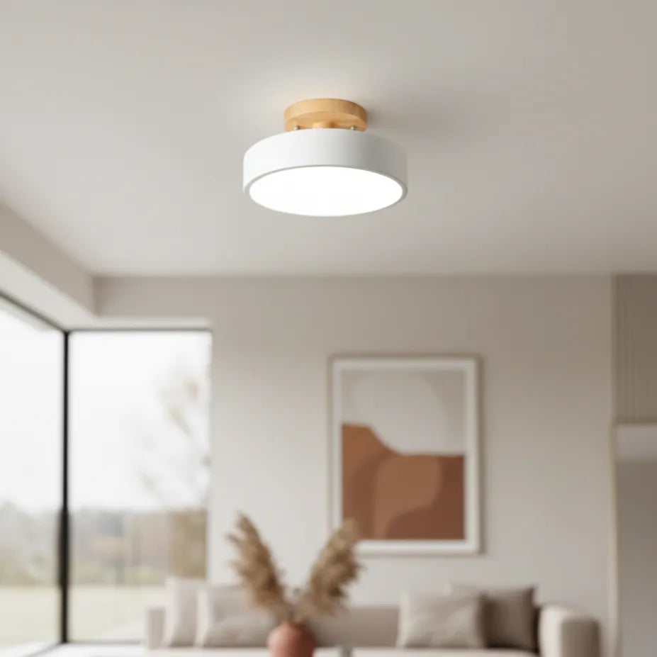 Plafonnier Moderne LED 